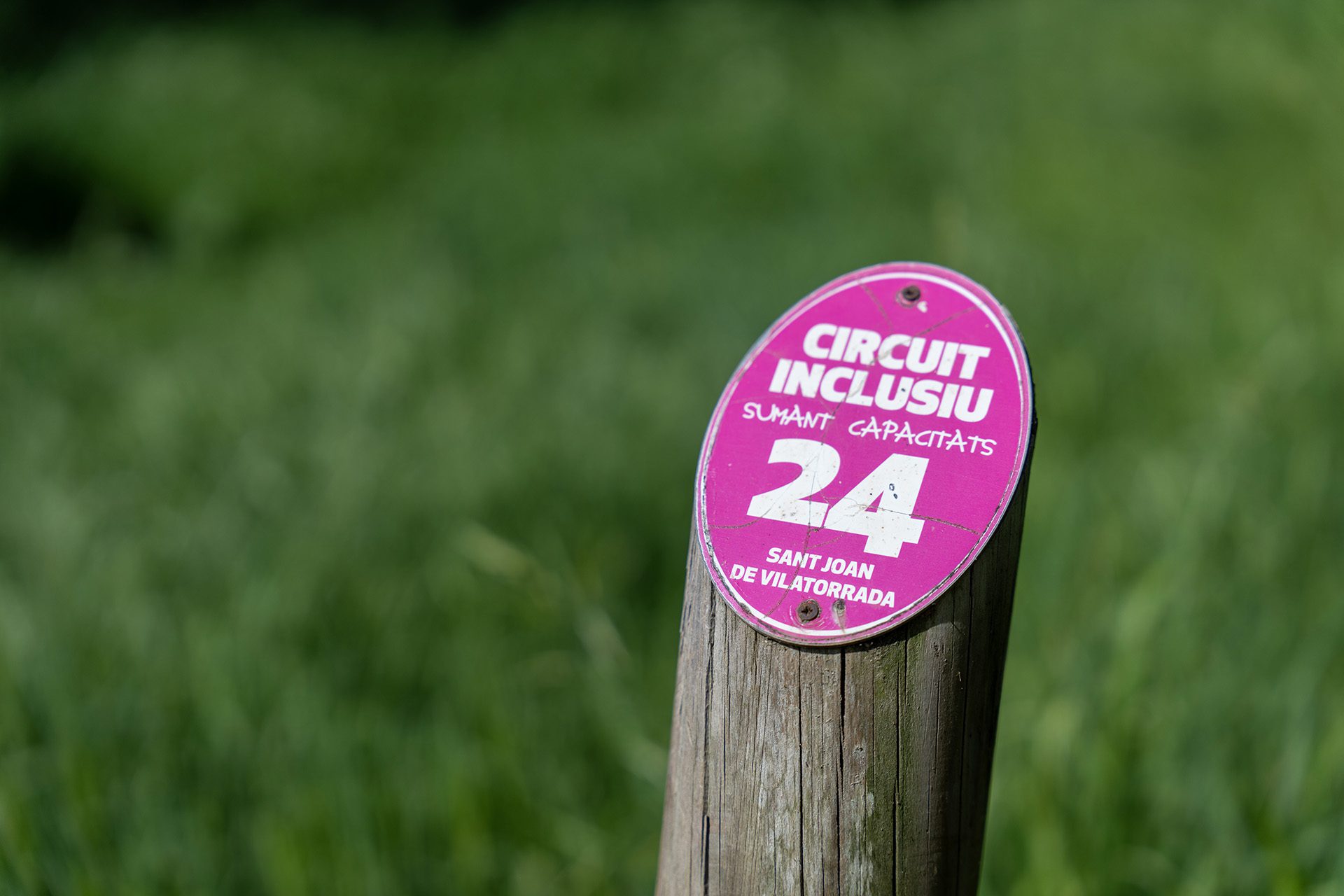 Circuits inclusius