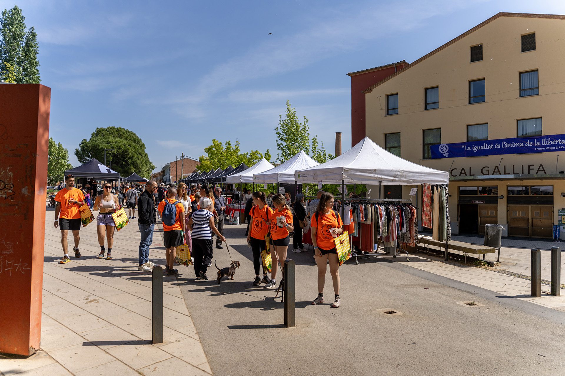 Festa de la Primavera i Fira de Sabors i Comerç