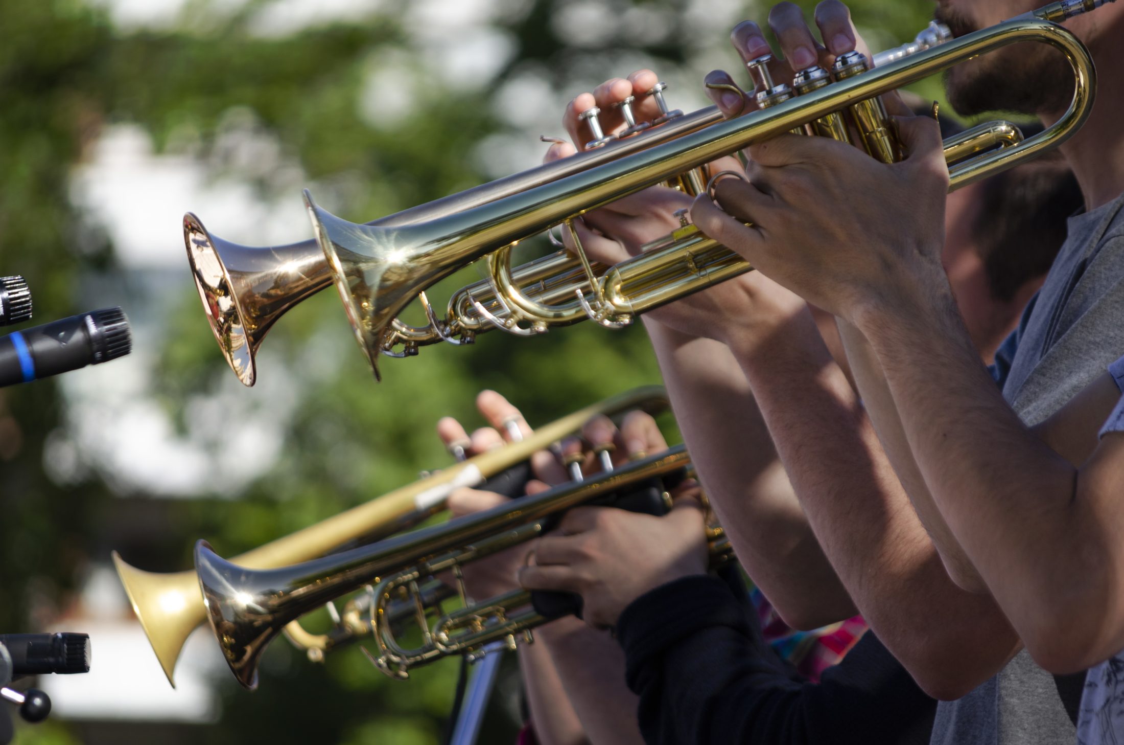 Cicle de Concerts de Primavera