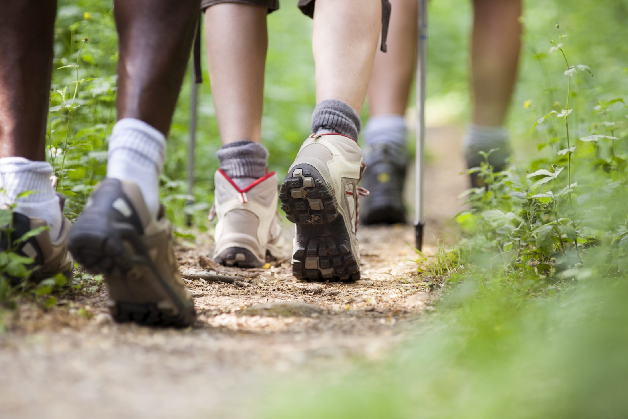 Rutes de senderisme